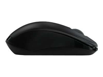 Rapoo 1620 - Mus - optisk - trådløs - 2.4 GHz - USB trådløs mottaker