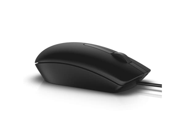 DELL MS116, Ambidextrous, Optisk, USB Type-A, 1000 dpi, Sort