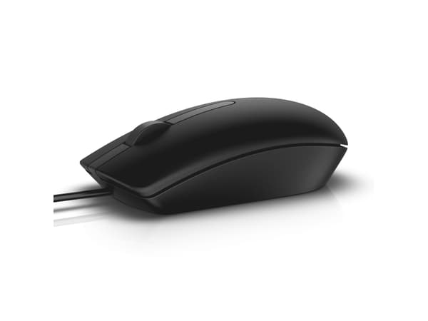 DELL MS116, Ambidextrous, Optisk, USB Type-A, 1000 dpi, Sort