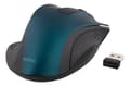 Pikkukuva 2 / 4: Wireless optical mouse, 1200 DPI, blue