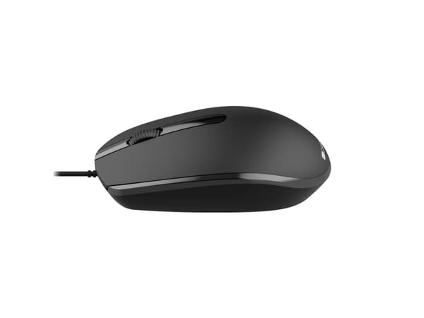 Canyon M-10, Ambidextrous, Optisk, USB Type-A, 1000 DPI, Svart