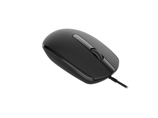 Canyon M-10, Ambidextrous, Optisk, USB Type-A, 1000 DPI, Svart