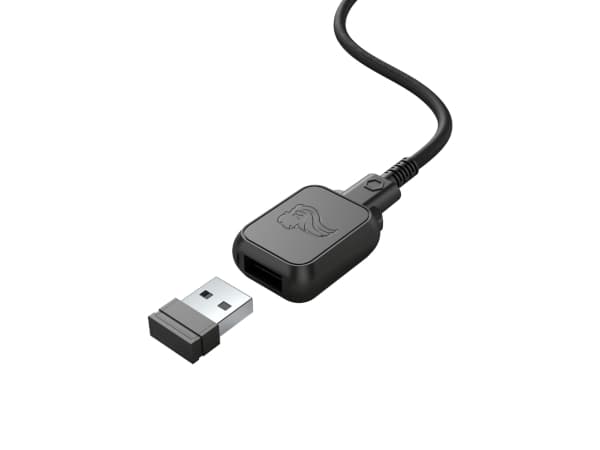 Glorious PC Gaming Race GLO-MS-DW-MB, Oikeakätinen, Langaton RF, 19000 DPI, Musta