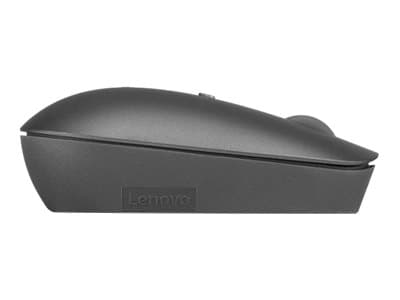 Lenovo 540 Wireless Compact - Mus - kompakt - optisk - 4 knappar - trådlös - 2.4 GHz - USB-C trådlös mottagare - åskmolnsgrå - CRU