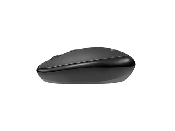 LogiLink ID0204, Ambidekstriøs, RF trådløs + Bluetooth, 1600 DPI, Sort