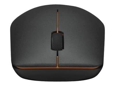 Lenovo 400 - Mus - höger- och vänsterhänta - optisk - 3 knappar - trådlös - 2.4 GHz - USB-C trådlös mottagare - svart