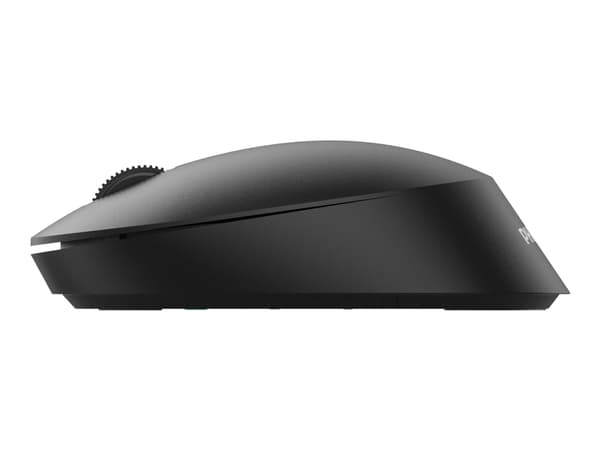 Philips SPK7307B - 3000 Series - mus - ergonomisk - höger- och vänsterhänta - optisk - 3 knappar - trådlös - 2.4 GHz - trådlös USB-mottagare