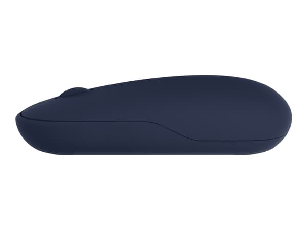 ASUS MD100, Molempikätinen, Optinen, RF Wireless + Bluetooth, 1600 DPI, Sininen