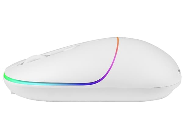 Tracer RATERO - Mus - ergonomisk - högerhänt - optisk - 4 knappar - trådlös - 2.4 GHz, RF - trådlös USB-mottagare - vit