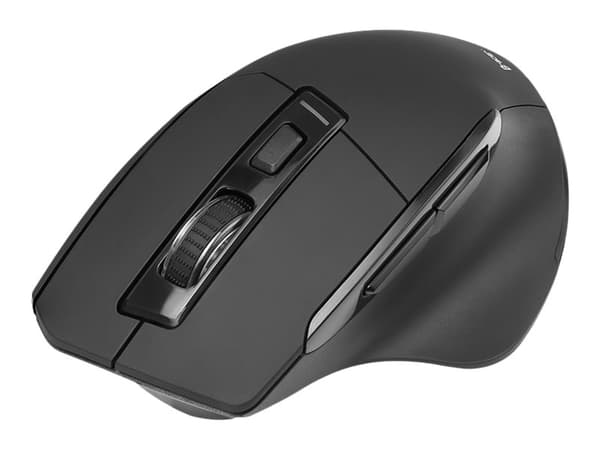 Tracer Cozy - Mus - ergonomisk - høyrehendt - optisk - 6 knapper - trådløs - 2.4 GHz - USB trådløs mottaker - svart