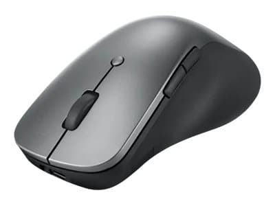 Lenovo Professional - Mus - ergonomisk - optisk blå - 6 knappar - trådlös - Bluetooth 5.1 - åskmolnsgrå
