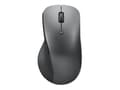 Miniatyrbild 5 av 5: Lenovo Professional - Mus - ergonomisk - optisk blå - 6 knappar - trådlös - Bluetooth 5.1 - åskmolnsgrå
