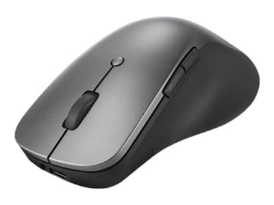 Lenovo Professional - Mus - ergonomisk - optisk blå - 6 knappar - trådlös - Bluetooth 5.1 - åskmolnsgrå