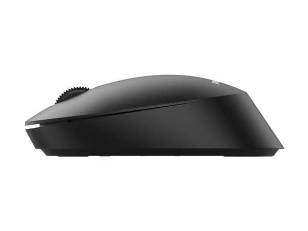 Philips SPK7307BL - 3000 Series - mus - ergonomisk - höger- och vänsterhänta - optisk - 3 knappar - trådlös - 2.4 GHz - trådlös USB-mottagare - svart