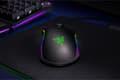 Thumbnail 11