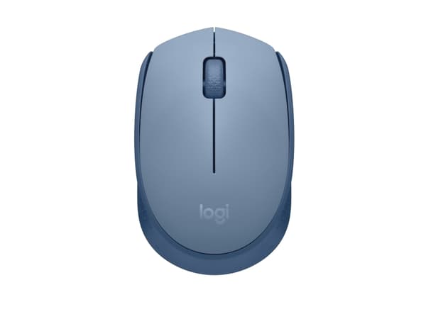 Logitech M171 - Mus - høyre- og venstrehendt - trådløs - 2,4 GHz - trådløs mottaker (USB) - BlueGrey