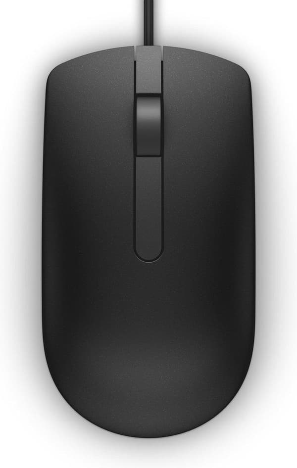 DELL MS116 mus Ambidextrös USB Typ-A Optisk 1000 DPI