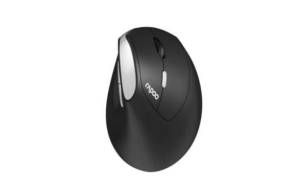 Rapoo EV250 - - optisk - trådlös