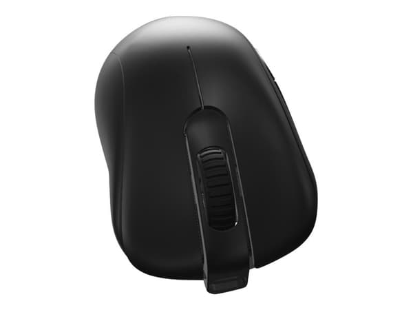 BenQ ZOWIE EC2-CW - Mus - ergonomisk - for e-sporter - høyrehendt - 5 knapper - trådløs, kablet - USB 2.0, 2.4 GHz - USB trådløs mottaker - svart
