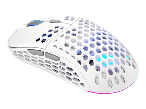 Endorfy LIX Onyx - Mus - optisk - 6 knappar - trådlös - 2.4 GHz - trådlös USB-mottagare - vit - detaljhandel Vit