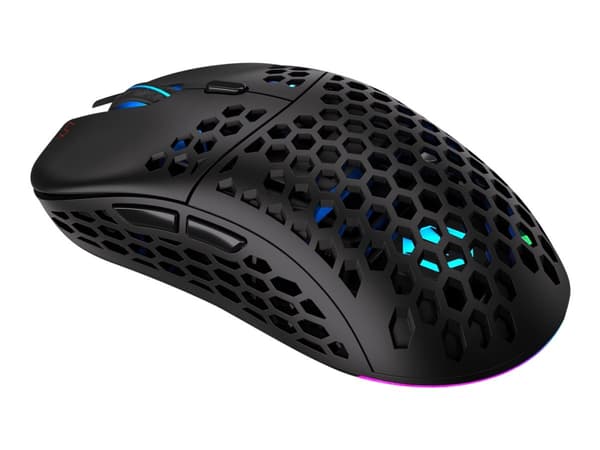 Endorfy LIX - Mus - optisk - 6 knappar - trådlös - 2.4 GHz - trådlös USB-mottagare - svart - detaljhandel Svart