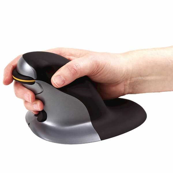 Trådlös Mus Fellowes 9894501 Svart Svart/Silvrig