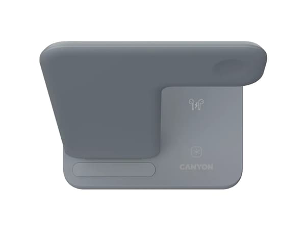 Canyon WS-303, Grå