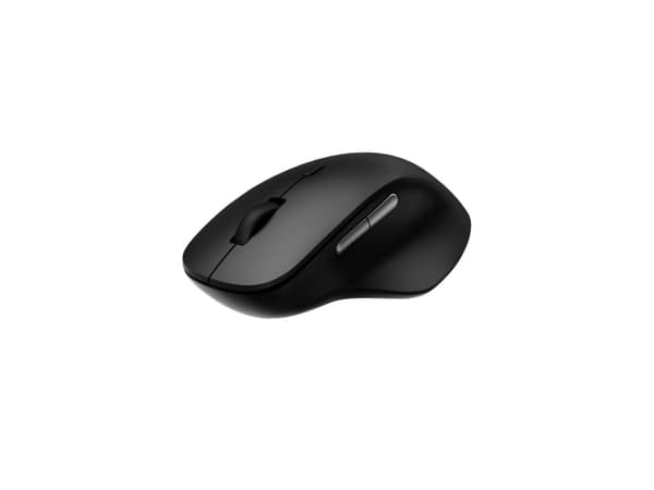 Rapoo M50 Plus, Optisk, RF kabel-fri, 3600 DPI, Sort