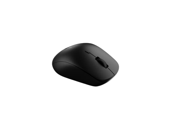 Rapoo M50 Plus, Optisk, RF kabel-fri, 3600 DPI, Sort
