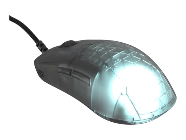 Endgame Gear OP1 RGB - Mus - högerhänt - optisk - 5 knappar - kabelansluten - USB-A - mörk frost