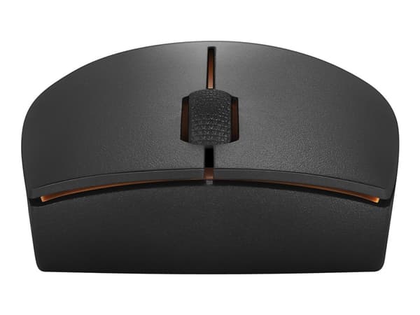 Lenovo 300 Wireless Compact - Hiiri - akulla - optinen - 3 painiketta - langaton - 2,4 GHz - langaton vastaanotin (USB) - napaharmaa - läpipainopakka