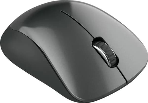 Canyon MW-11 - Mus - högerhänt - optisk - 3 knappar - trådlös - 2.4 GHz - trådlös USB-mottagare - svart