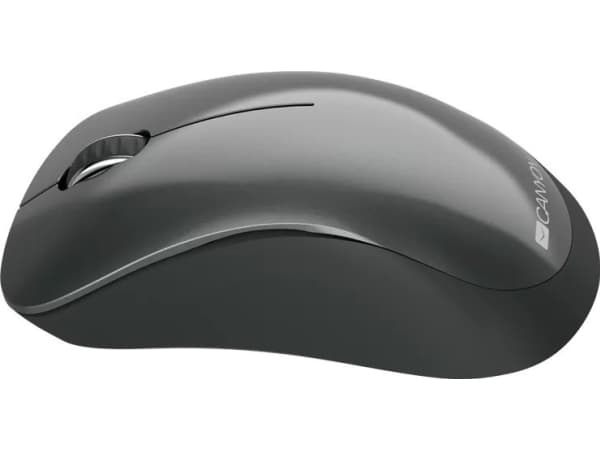 Canyon MW-11 - Mus - högerhänt - optisk - 3 knappar - trådlös - 2.4 GHz - trådlös USB-mottagare - svart