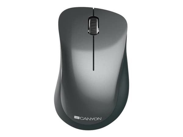 Canyon MW-11 - Mus - högerhänt - optisk - 3 knappar - trådlös - 2.4 GHz - trådlös USB-mottagare - svart Svart