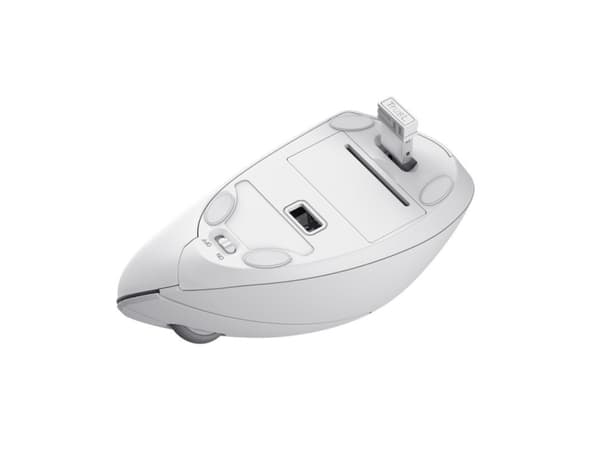 Trust Verto - Vertikal mus - ergonomisk - högerhänt - optisk - 6 knappar - trådlös - 2.4 GHz - trådlös USB-mottagare - vit