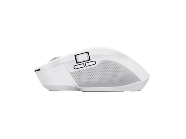 Trust Ozaa+ - Mus - flera enheter - högerhänt - optisk - 6 knappar - trådlös - 2.4 GHz, Bluetooth - trådlös USB-mottagare - vit