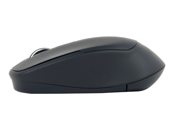Gembird MUSW-4B-05 - Mus - ergonomisk - optisk - 4 knappar - trådlös - 2.4 GHz - trådlös USB-mottagare - svart - blåsa