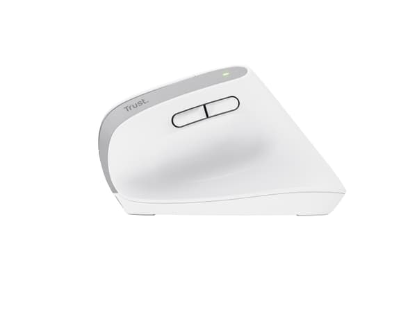 Trust Bayo+ - Vertikal mus - ergonomisk - flera enheter - högerhänt - optisk - 6 knappar - trådlös - 2.4 GHz, Bluetooth - trådlös USB-mottagare - vit