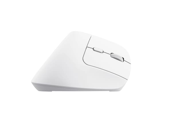 Trust Bayo+ - Vertikal mus - ergonomisk - flera enheter - högerhänt - optisk - 6 knappar - trådlös - 2.4 GHz, Bluetooth - trådlös USB-mottagare - vit