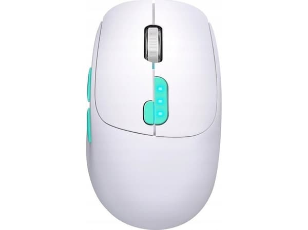 Defender NITTA MM-307 trådløs mus optisk 1600dpi 2,4 GHz + Bluetooth hvit BATTERI
