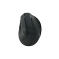 Miniatyrbillede 3 af 3: Ergonomisk optisk mus Conceptronic LORCAN03B Sort