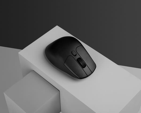M6 4K Ergonomisk Trådløs Mus - Sort