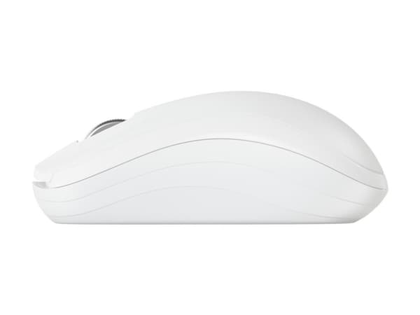 CHERRY MW 2200 - Hiiri - ergonominen - oikea- ja vasenkätinen - optinen - 3 painiketta - langaton - 2,4 GHz - langaton vastaanotin (USB) - valkoinen