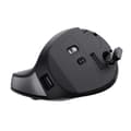 Pikkukuva 8 / 9: Ergonominen optinen hiiri Trust Bayo II Musta 2400 dpi