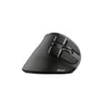 Pikkukuva 5 / 10: Langaton hiiri Trust Voxx Ergonominen Bluetooth Ladattava Musta 2400 dpi