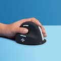 Pikkukuva 8 / 8: Ergonominen optinen hiiri R-Go RGOHELELAWL Musta