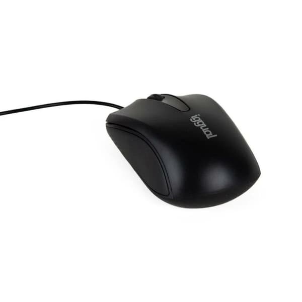 Mus iggual IGG318867