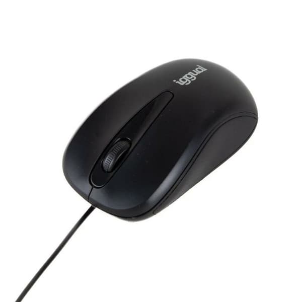 Mus iggual IGG318867
