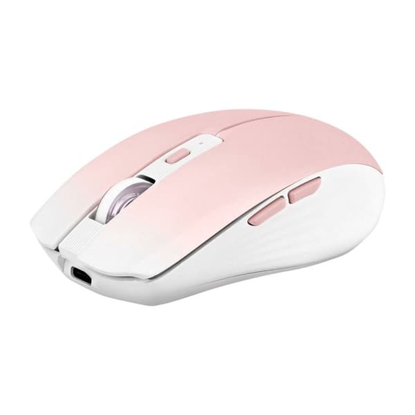Mus T'NB GRADIENT Rosa Rosa, Vit