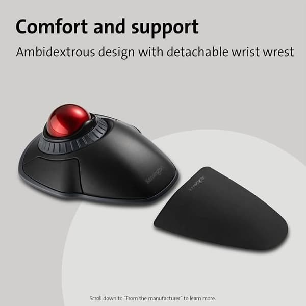 Souris Trackball - Kensington - Orbit - Trådlös 2,4 GHz och Bluetooth - Taktile rullning - Ambidextrous design